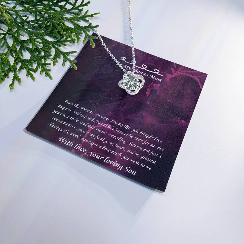 Heartfelt Bonus Mom Necklace - Gift for Mother's Day, Birthday or Special Occasion from Stepson, Necklace For Non biological Mother