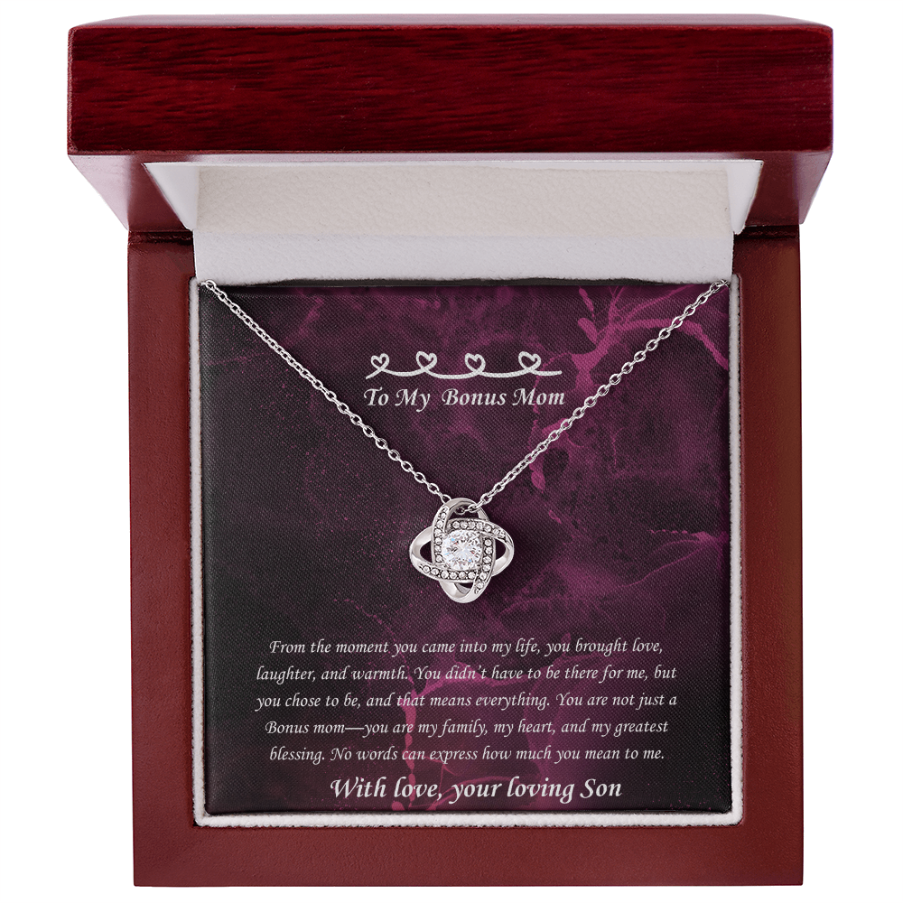 Heartfelt Bonus Mom Necklace - Gift for Mother's Day, Birthday or Special Occasion from Stepson, Necklace For Non biological Mother